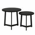 ensemble-de-2-tables-basses-rondes-en-acier-design-moderne-pour-salon-capacite-35-kg-noir-rypjy11652gn