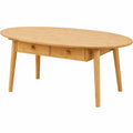 table-basse-ovale-avec-tiroirs-et-rangement-ferme-pour-salon-szdsp11554nm